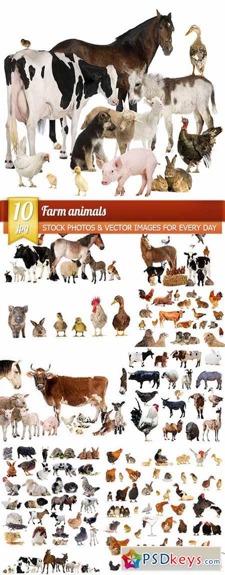 Farm animals, 10 x UHQ JPEG