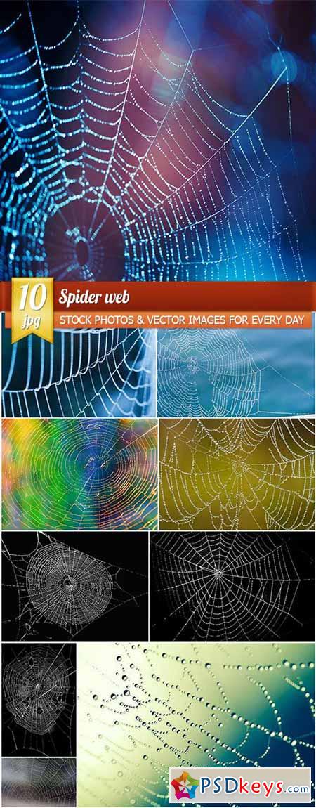 Spider web, 10 x UHQ JPEG