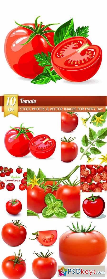 Tomato, 10 x EPS
