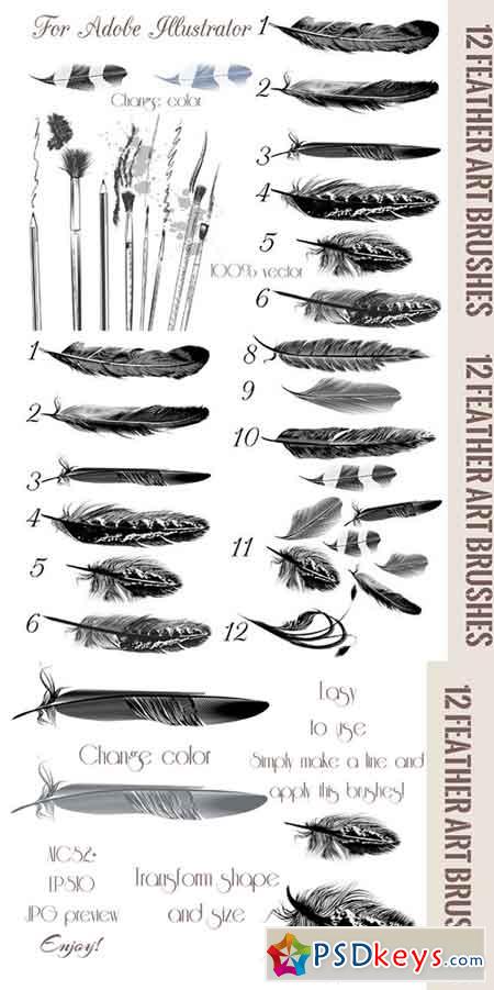 Feather brushes for illustrator 329141