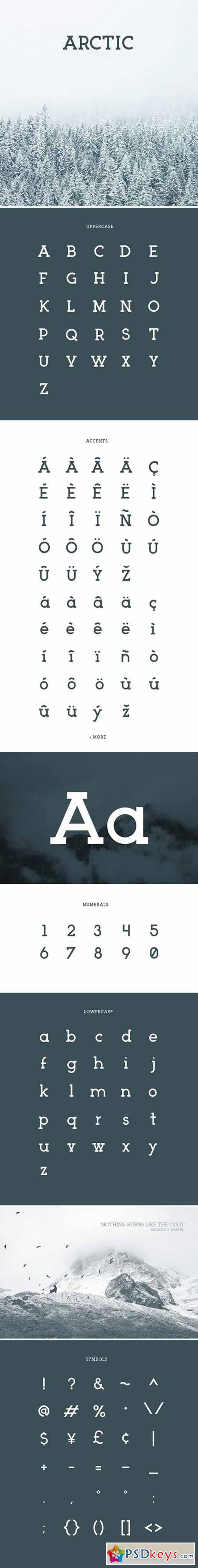 ARCTIC Typeface