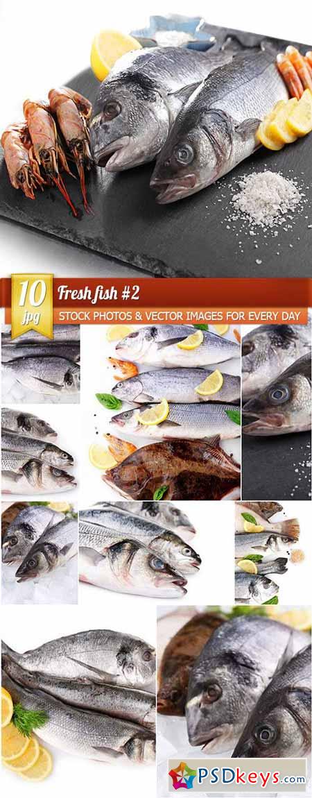 Fresh fish #2, 10 x UHQ JPEG