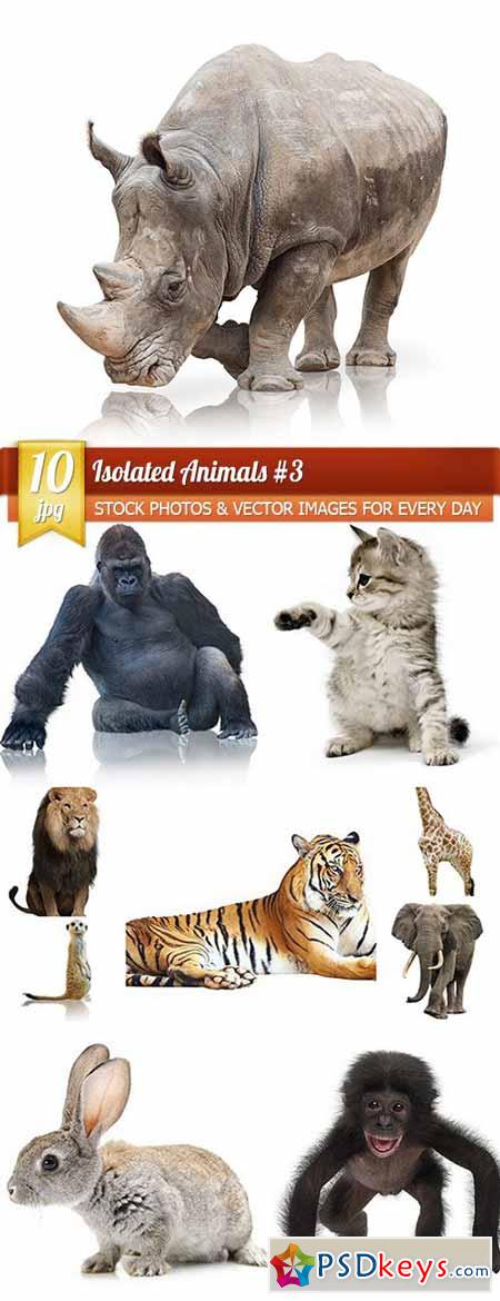 Isolated Animals 3, 10 x UHQ JPEG