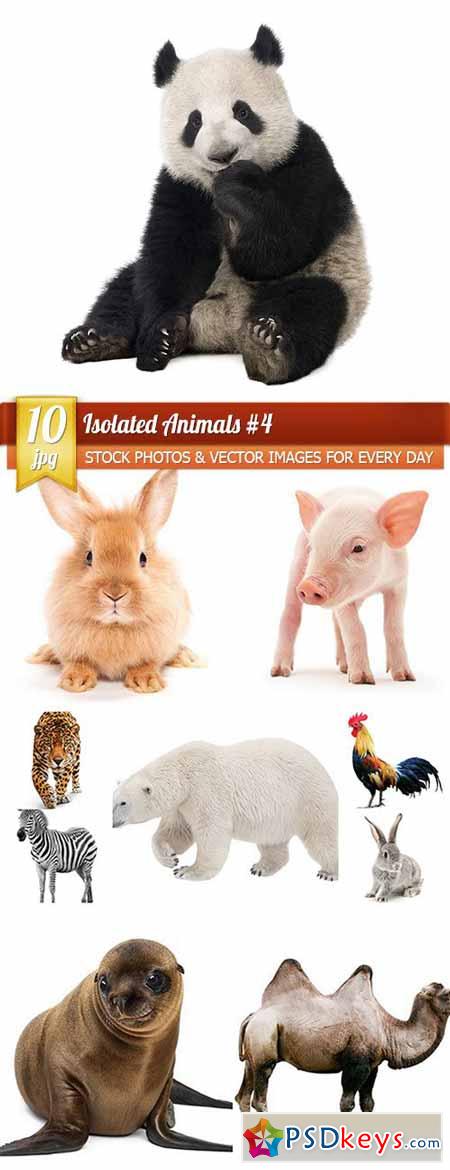 Isolated Animals 4, 10 x UHQ JPEG