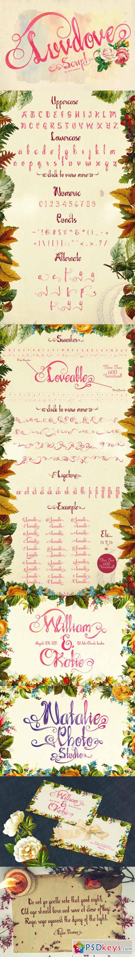 Luvdove Script 328478