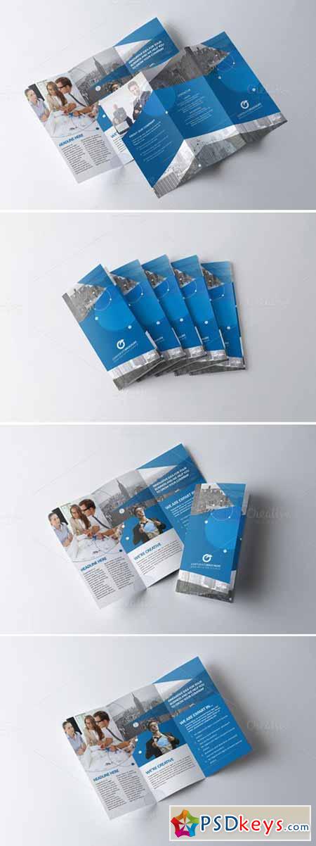 Tri-Fold Brochure-Multipurpose 342357