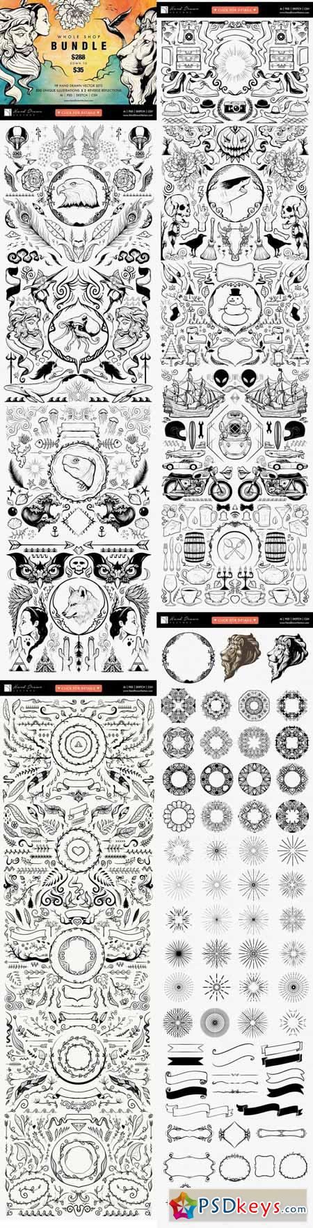 Hand Drawn Vectors Bundle 305721