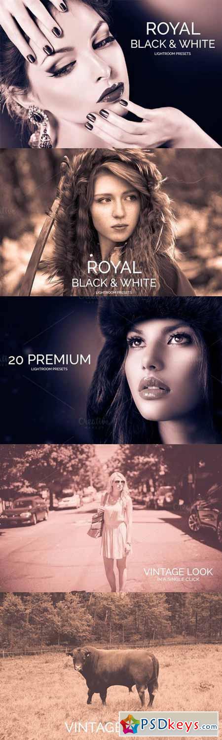 Royal Black&White Lightroom Presets 341895