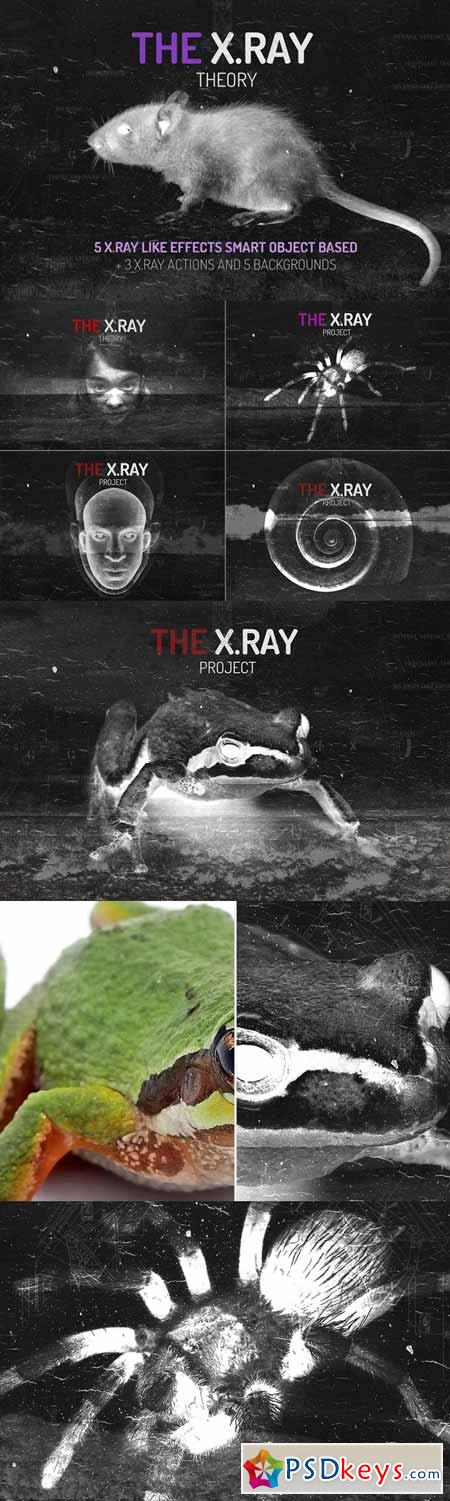 The X.RAY Theory 50317