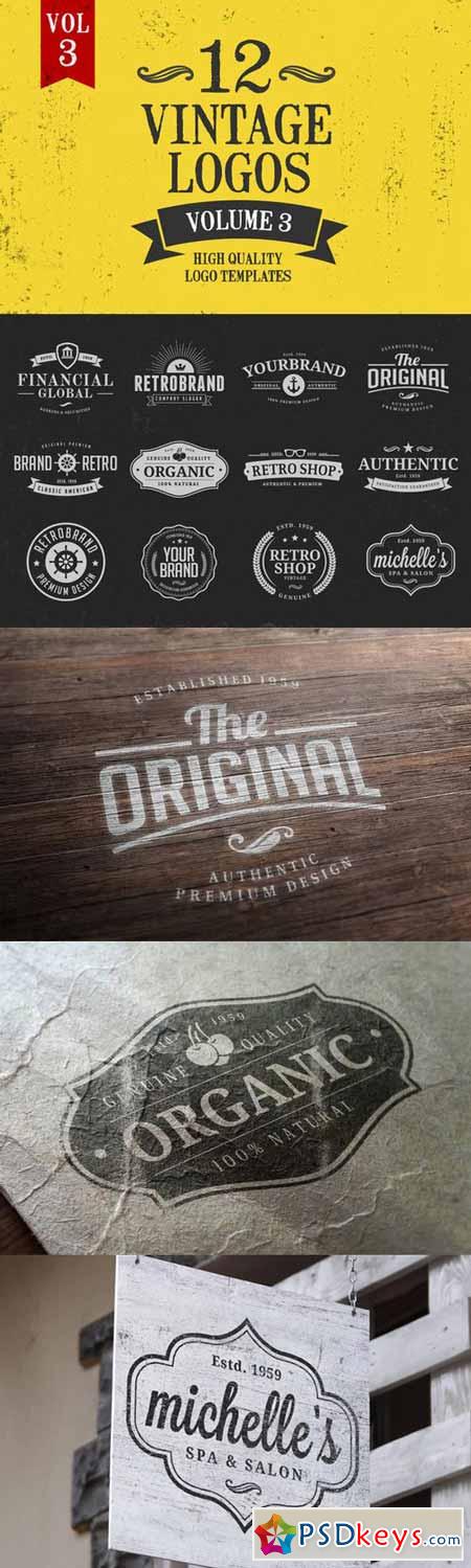 Vintage Logo Design Templates Vol. 3 231194