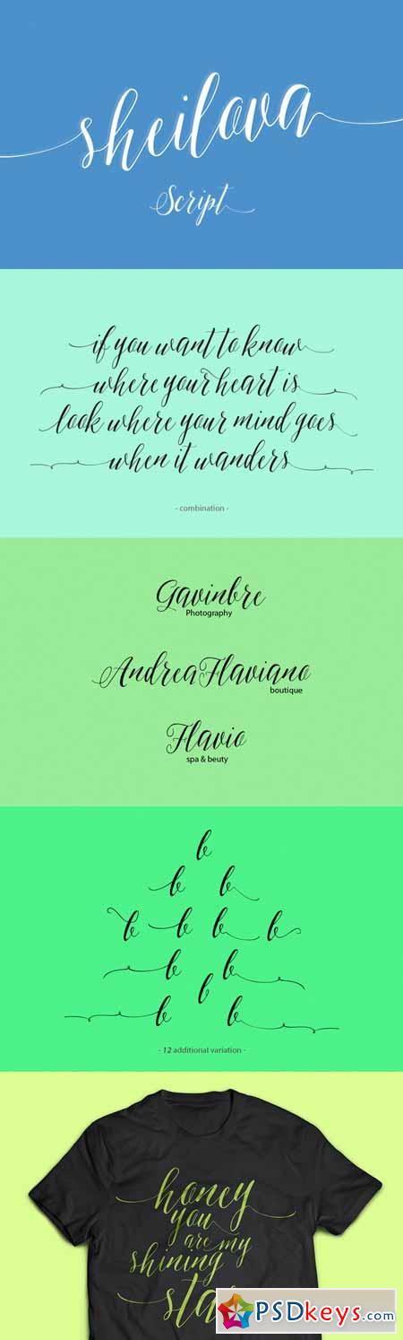 Sheilova Script 369017