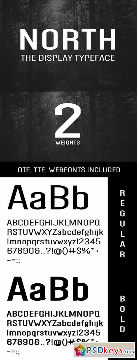 NORTH - Display Typeface + Web Fonts 372173