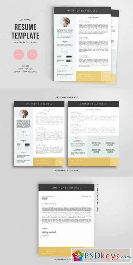 Resume Template The Whitney 3pk 135254