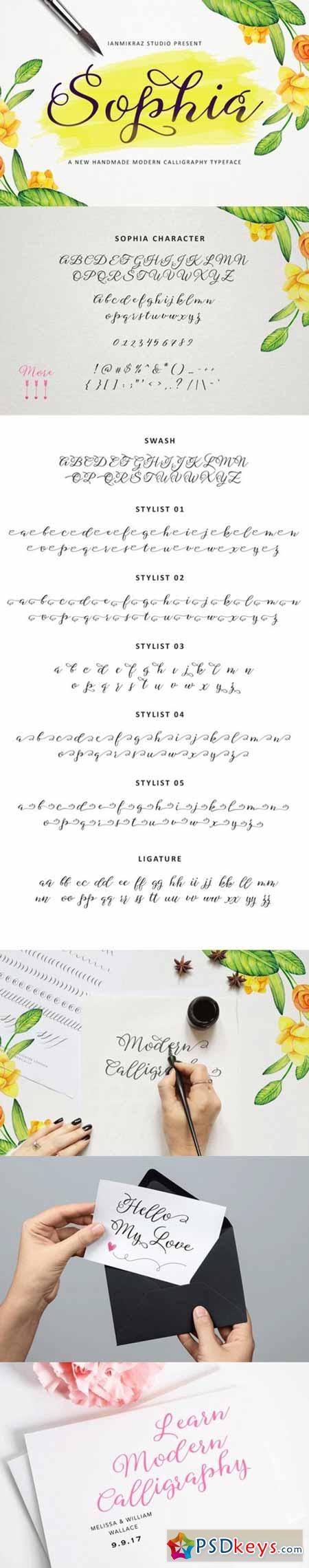 Sophia Script 374621