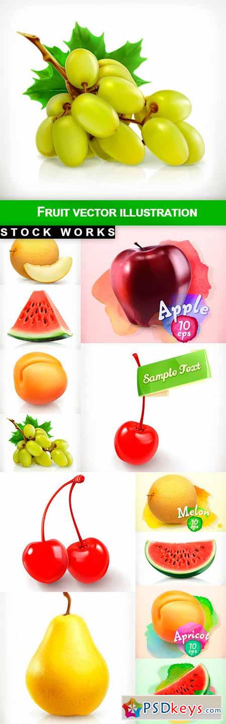 Fruit vector illustration - 12 EPS