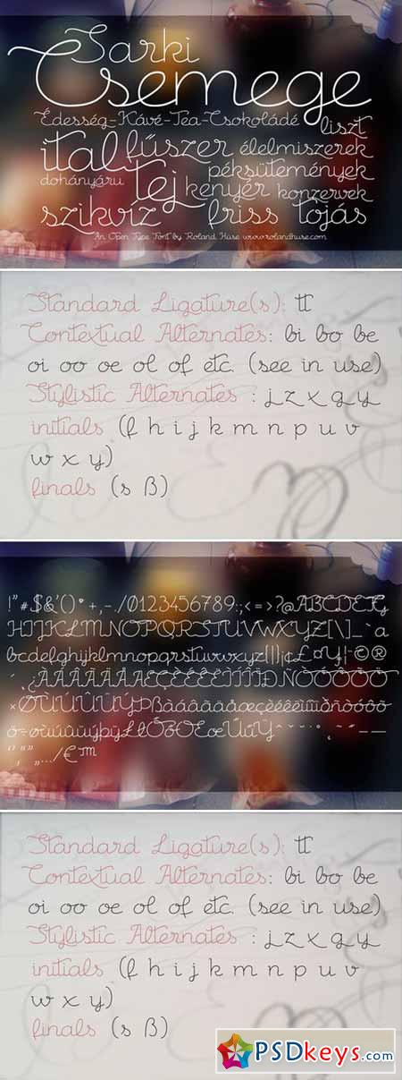 Csemege Script Fonts 380570