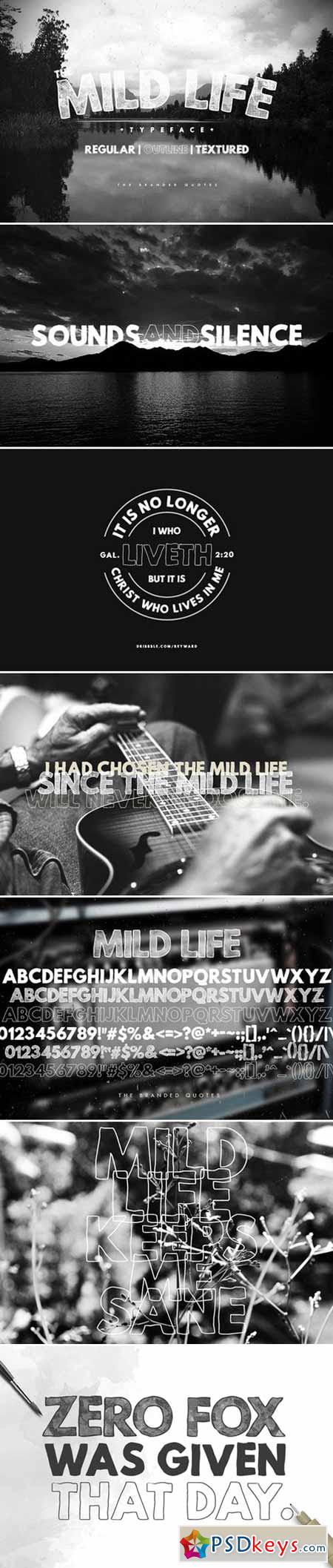 Mild Life Typeface 377206