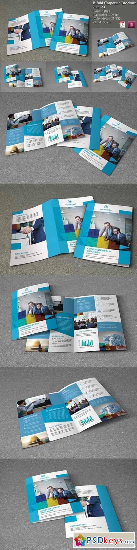 Bifold Corporate Brochure 348018