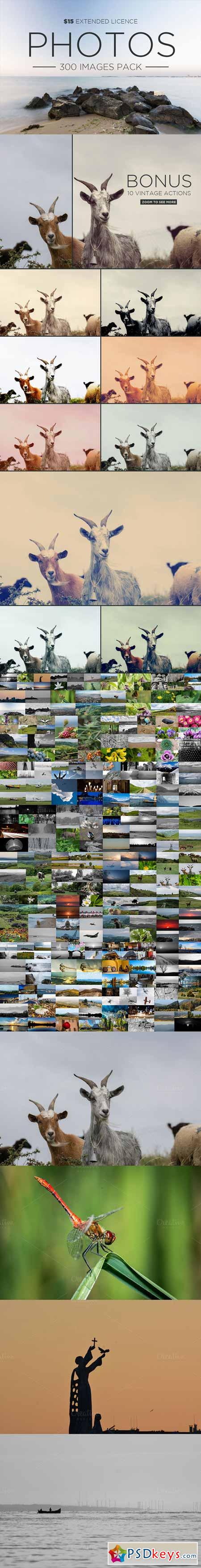 300 Images Pack Extended Licence 367602