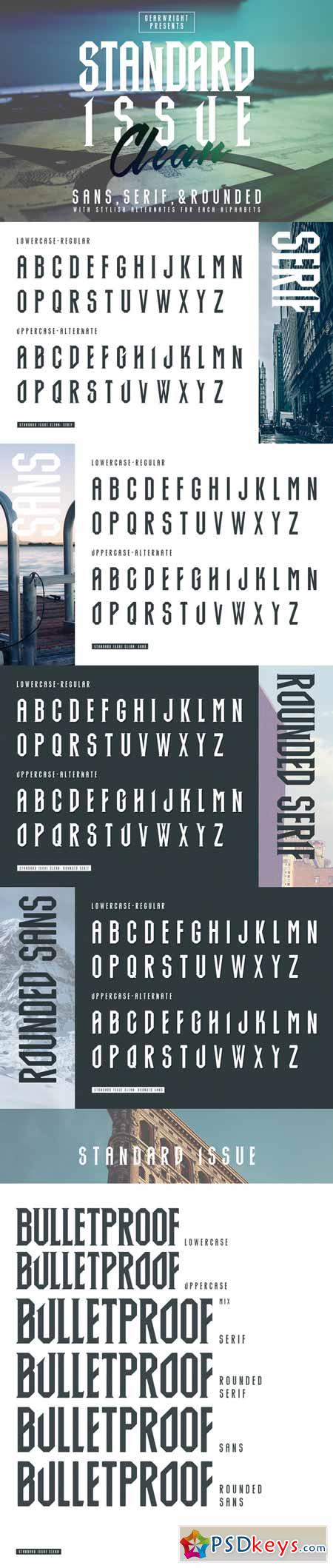 Standard Issue Clean Typeface 389764