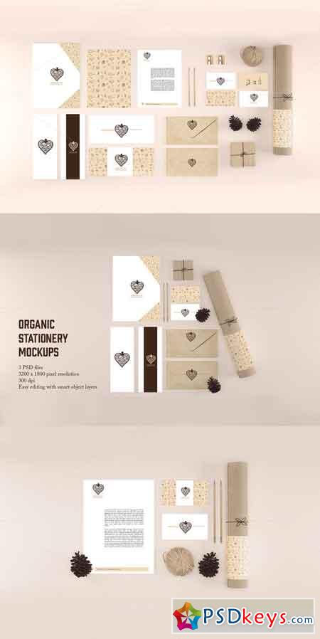 Organic Stationery Branding Mock-Up 390259