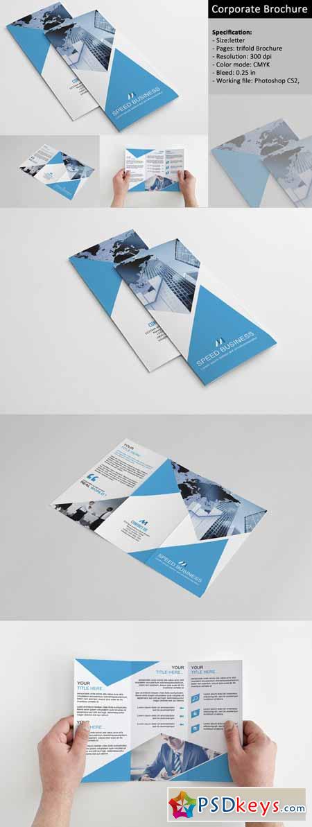 Trifold Corporate Brochure 351604