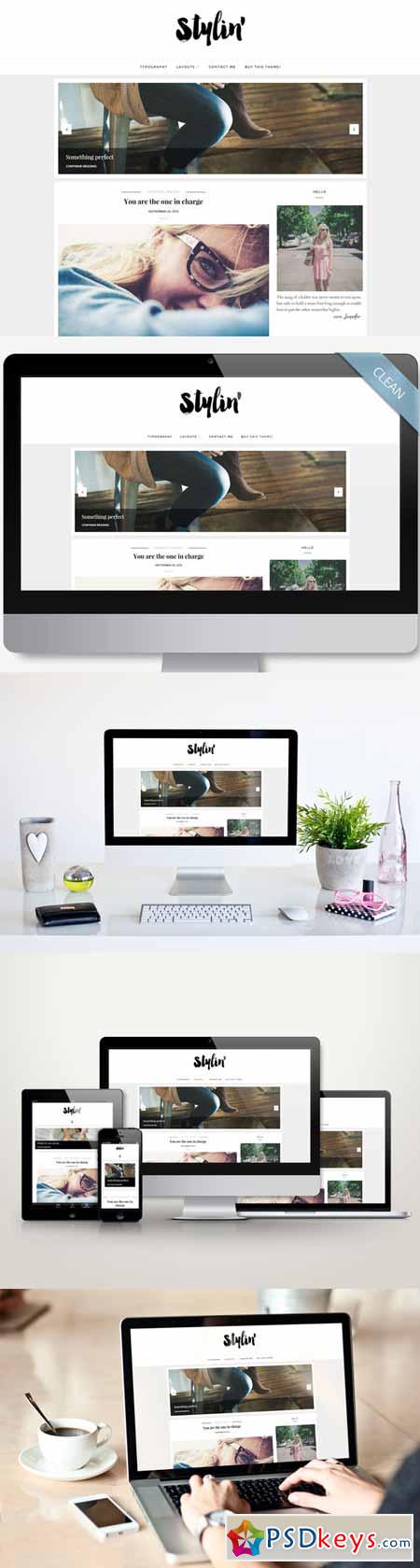 Clean Wordpress Theme - Stylin 384478