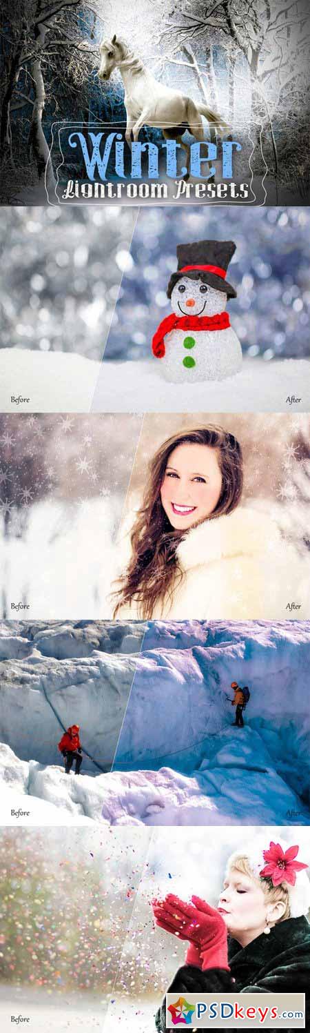 Winter Lightroom Presets 389615