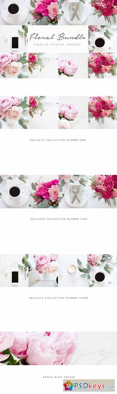Floral Stock Images+FREE blog header 396804