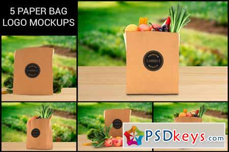 5 Grocery Paper Bag Logo Mockups 397254