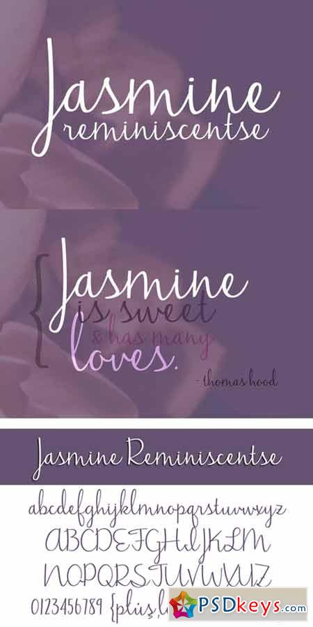 Jasmine Reminiscentse 80225