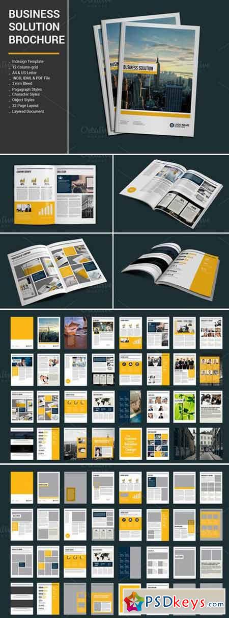 Business Solution Brochure 408444