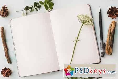 Download Artistic Page 6 Free Download Photoshop Vector Stock Image Via Torrent Zippyshare From Psdkeys Com