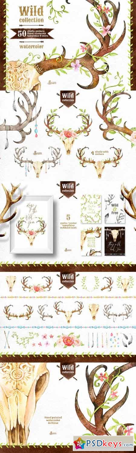 Wild Collection 293347