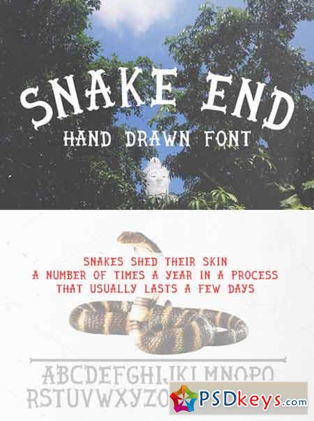 Snake end - hand drawn font 423690