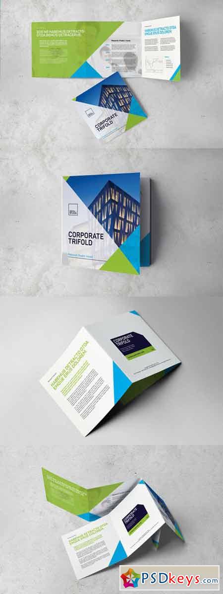 Corporate Square Trifold Brochure 386413