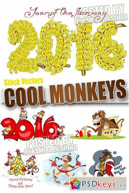 Cool Monkey 2016 - Stock Vectors