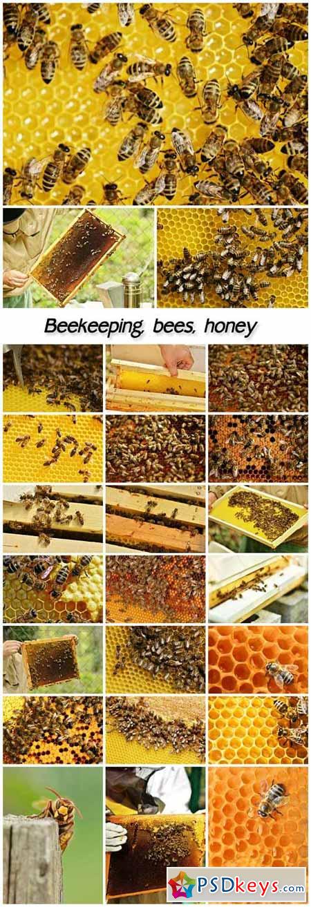 Beekeeping, bees, honey