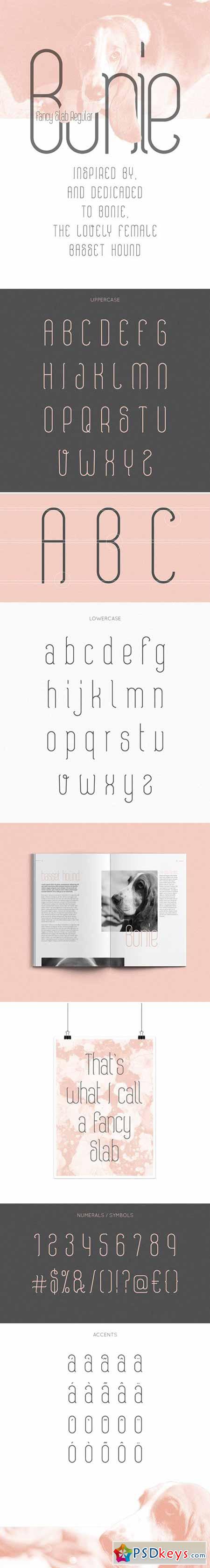 Bonie Typeface