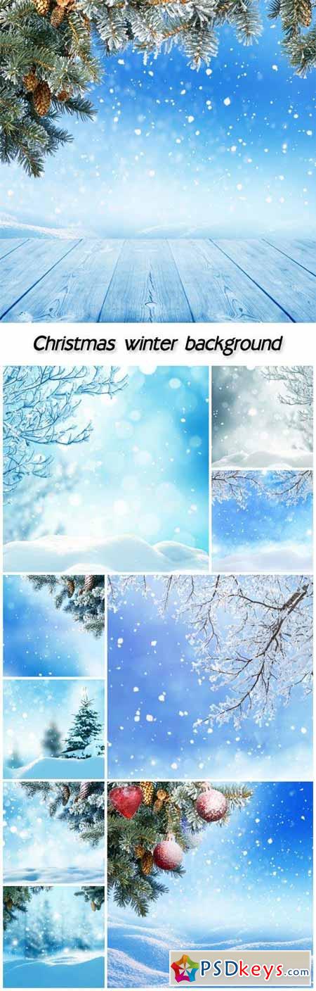Christmas winter background with fir tree