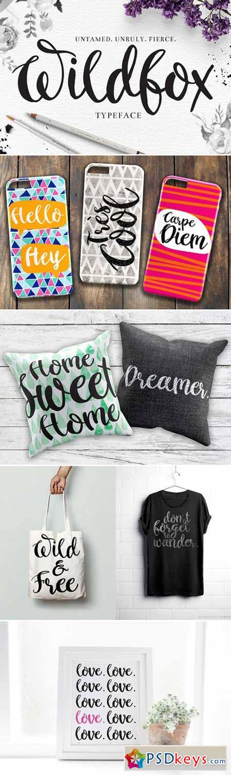 Wildfox Typeface-Hand drawn font 436591