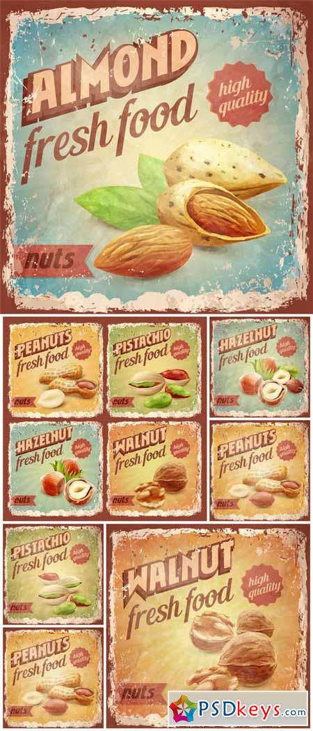 Vintage vector poster with nuts