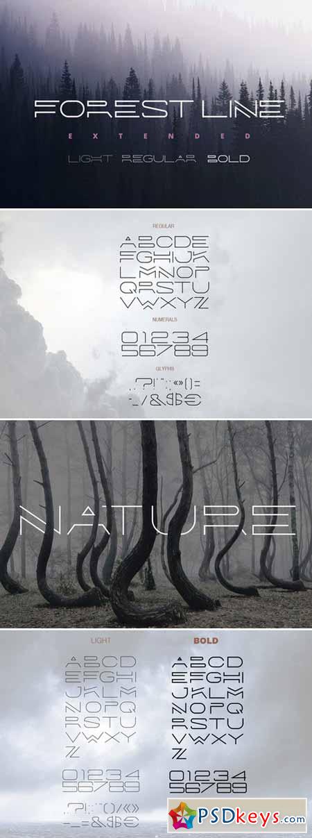 Forest Line Extended Linear Font 465080