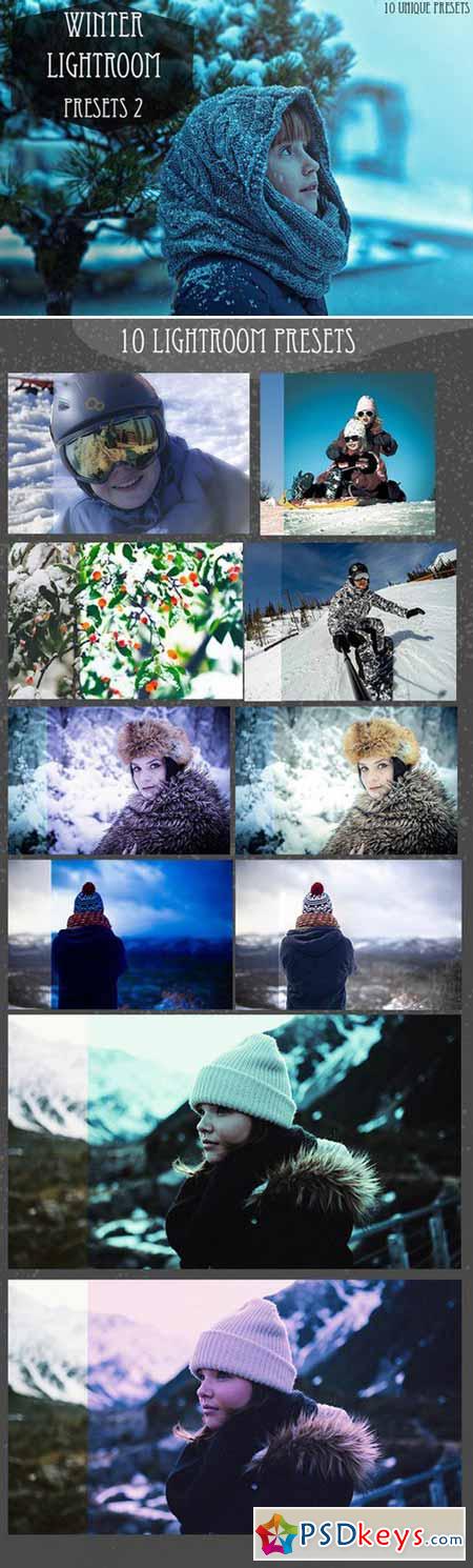 Winter Lightroom Presets 2 465958