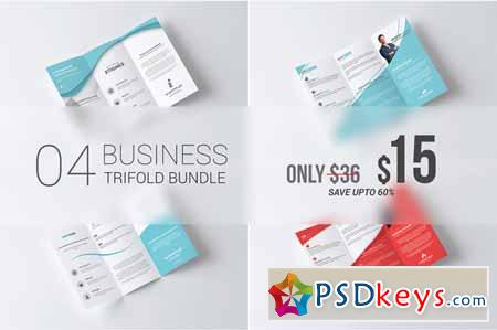 Business Tri Fold Brochure Bundle 465442