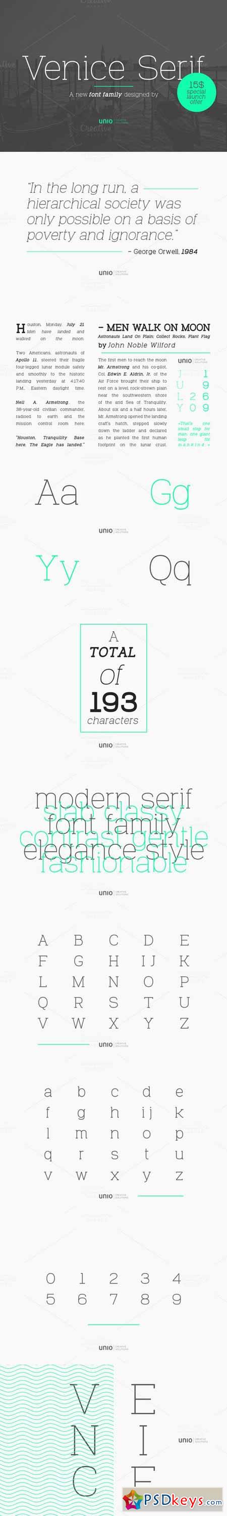 Venice Serif - Font Family 462153