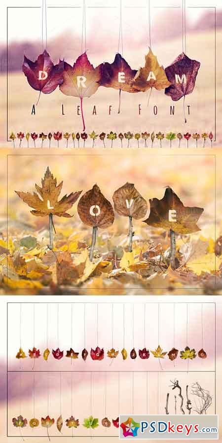 DREAM - A Leaf Font 455341