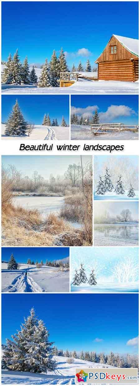 Beautiful winter landscapes, trees, snow