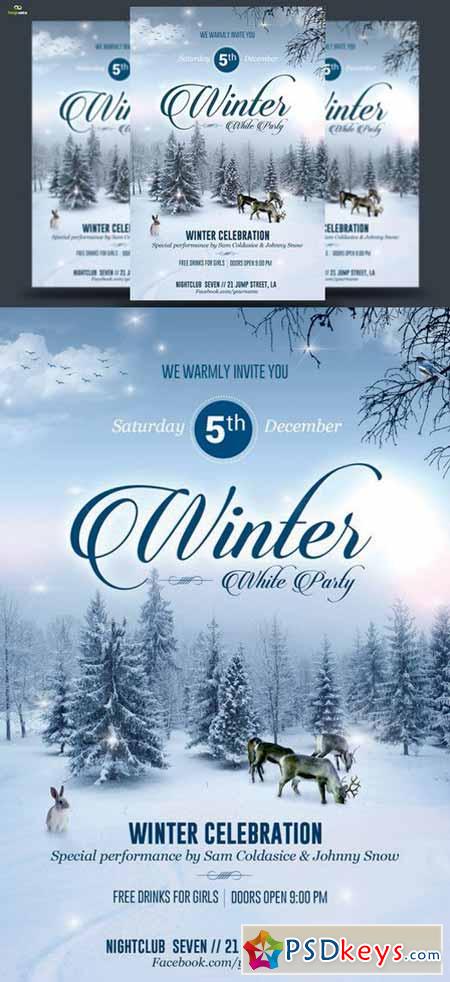 Winter Party Flyer 422048
