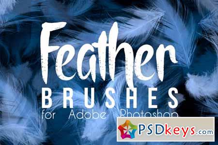 Real Feather Photoshop Brushes 421147